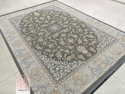 همتا طوسی ( طرح ثبتی)